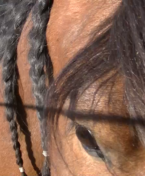 …Und dann begann die Zeit mit dem Corona Virus.